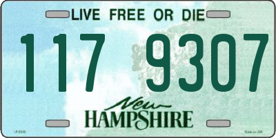 NH license plate 1179307