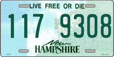 NH license plate 1179308