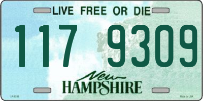 NH license plate 1179309