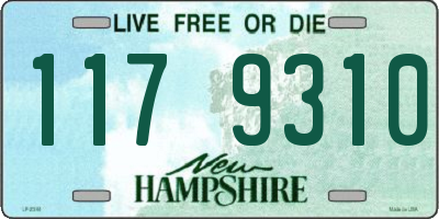 NH license plate 1179310