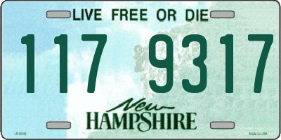 NH license plate 1179317