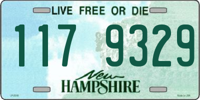 NH license plate 1179329