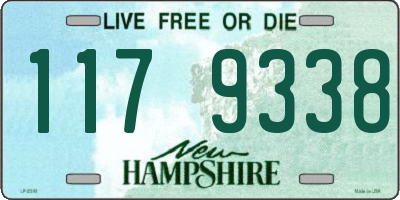 NH license plate 1179338