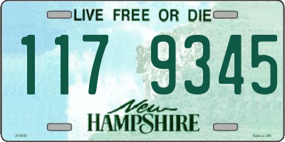 NH license plate 1179345
