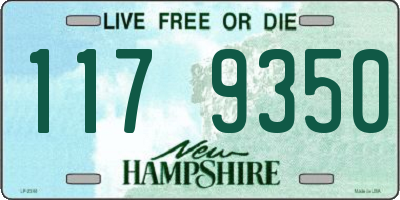NH license plate 1179350