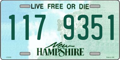 NH license plate 1179351