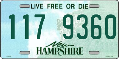 NH license plate 1179360