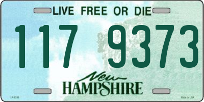 NH license plate 1179373