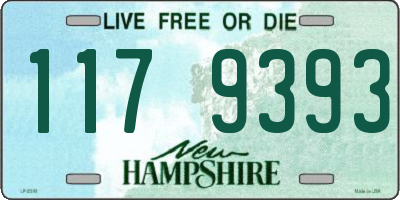 NH license plate 1179393