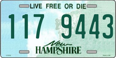 NH license plate 1179443