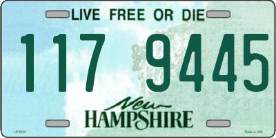 NH license plate 1179445