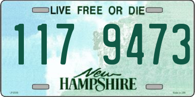 NH license plate 1179473