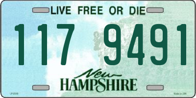 NH license plate 1179491