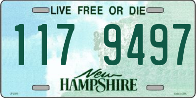 NH license plate 1179497