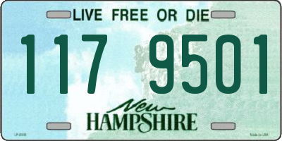 NH license plate 1179501