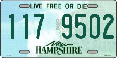 NH license plate 1179502