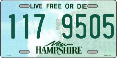 NH license plate 1179505