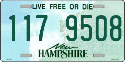 NH license plate 1179508
