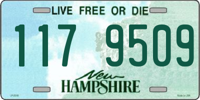 NH license plate 1179509