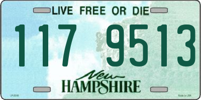 NH license plate 1179513