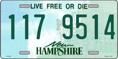 NH license plate 1179514