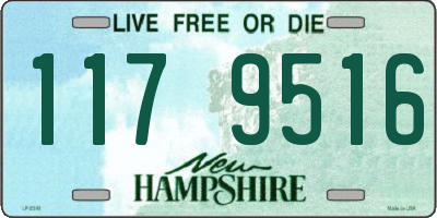 NH license plate 1179516