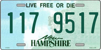 NH license plate 1179517