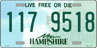 NH license plate 1179518