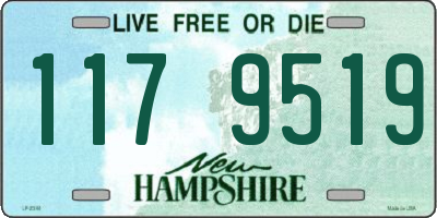 NH license plate 1179519