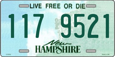 NH license plate 1179521