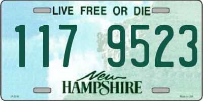 NH license plate 1179523