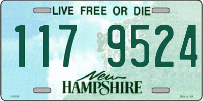 NH license plate 1179524