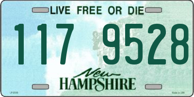 NH license plate 1179528