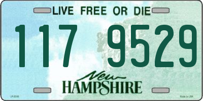 NH license plate 1179529