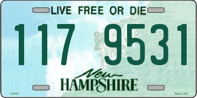 NH license plate 1179531