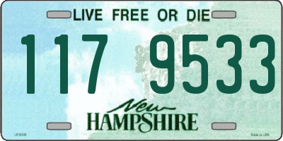NH license plate 1179533