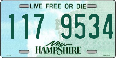 NH license plate 1179534