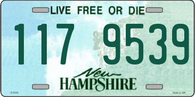 NH license plate 1179539