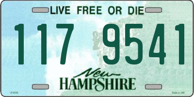 NH license plate 1179541