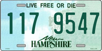 NH license plate 1179547