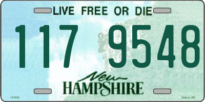 NH license plate 1179548