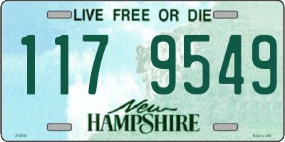 NH license plate 1179549
