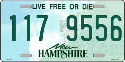 NH license plate 1179556