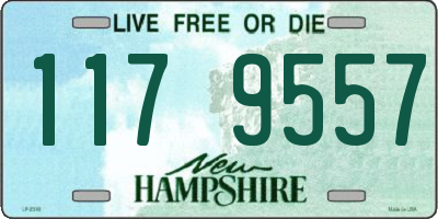 NH license plate 1179557