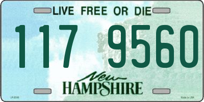 NH license plate 1179560