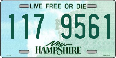 NH license plate 1179561