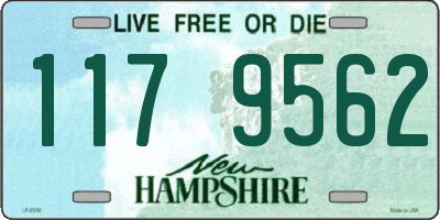 NH license plate 1179562