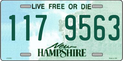 NH license plate 1179563