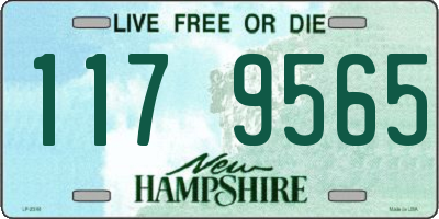 NH license plate 1179565