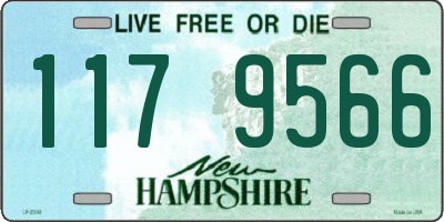 NH license plate 1179566